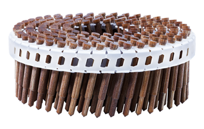 nagel-paul-lignoloc-Coil LignoLoc® - Buche im Plastikband 15° 3,5 x 37mm stumpf gestuft mit Kopf